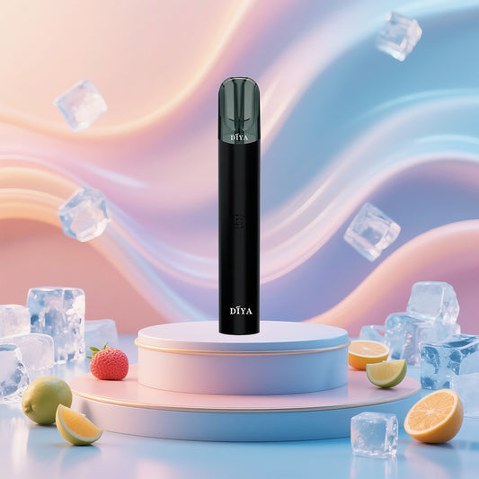 DIYA 叮啞 一代主機